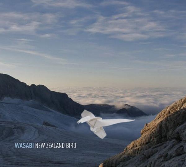 New Zealand Bird