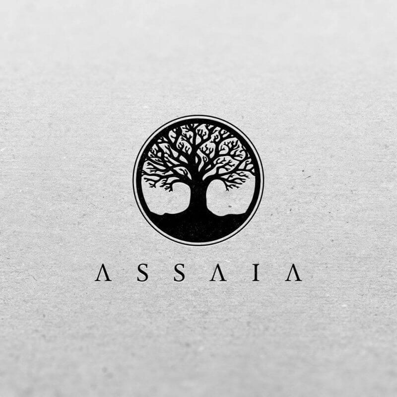 Assaia